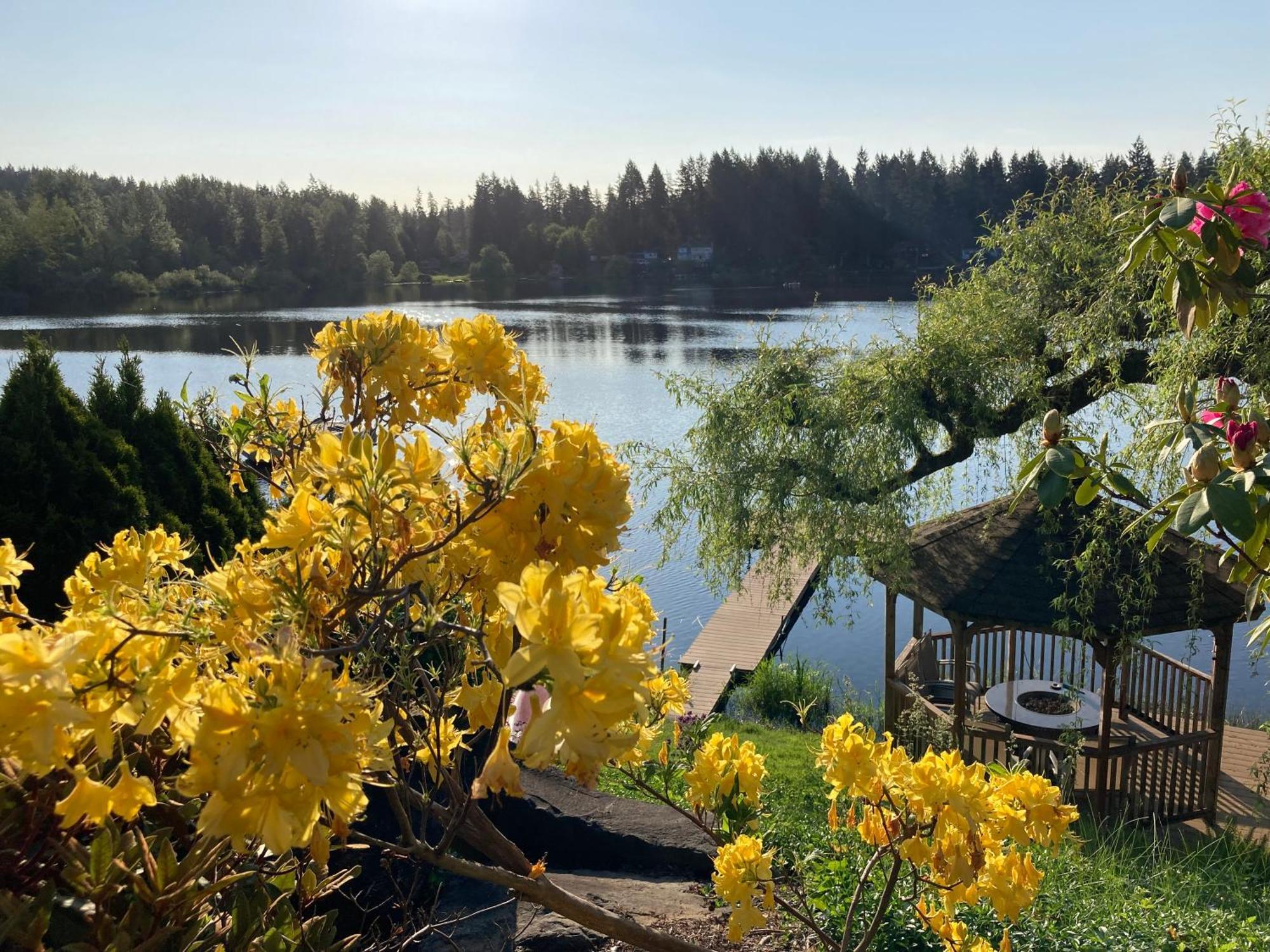 Cottage Lake Bed And Breakfast Woodinville Buitenkant foto