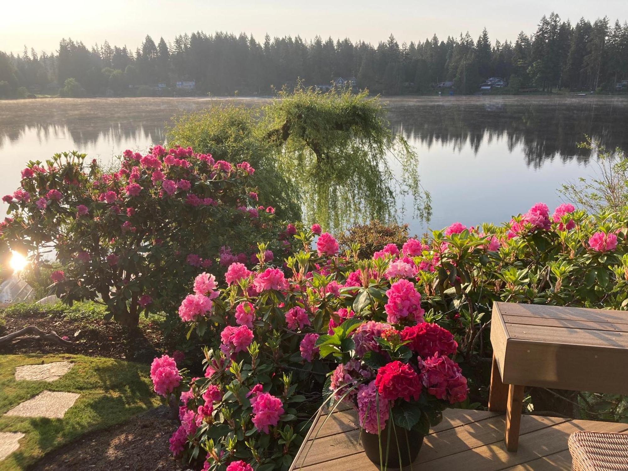 Cottage Lake Bed And Breakfast Woodinville Buitenkant foto