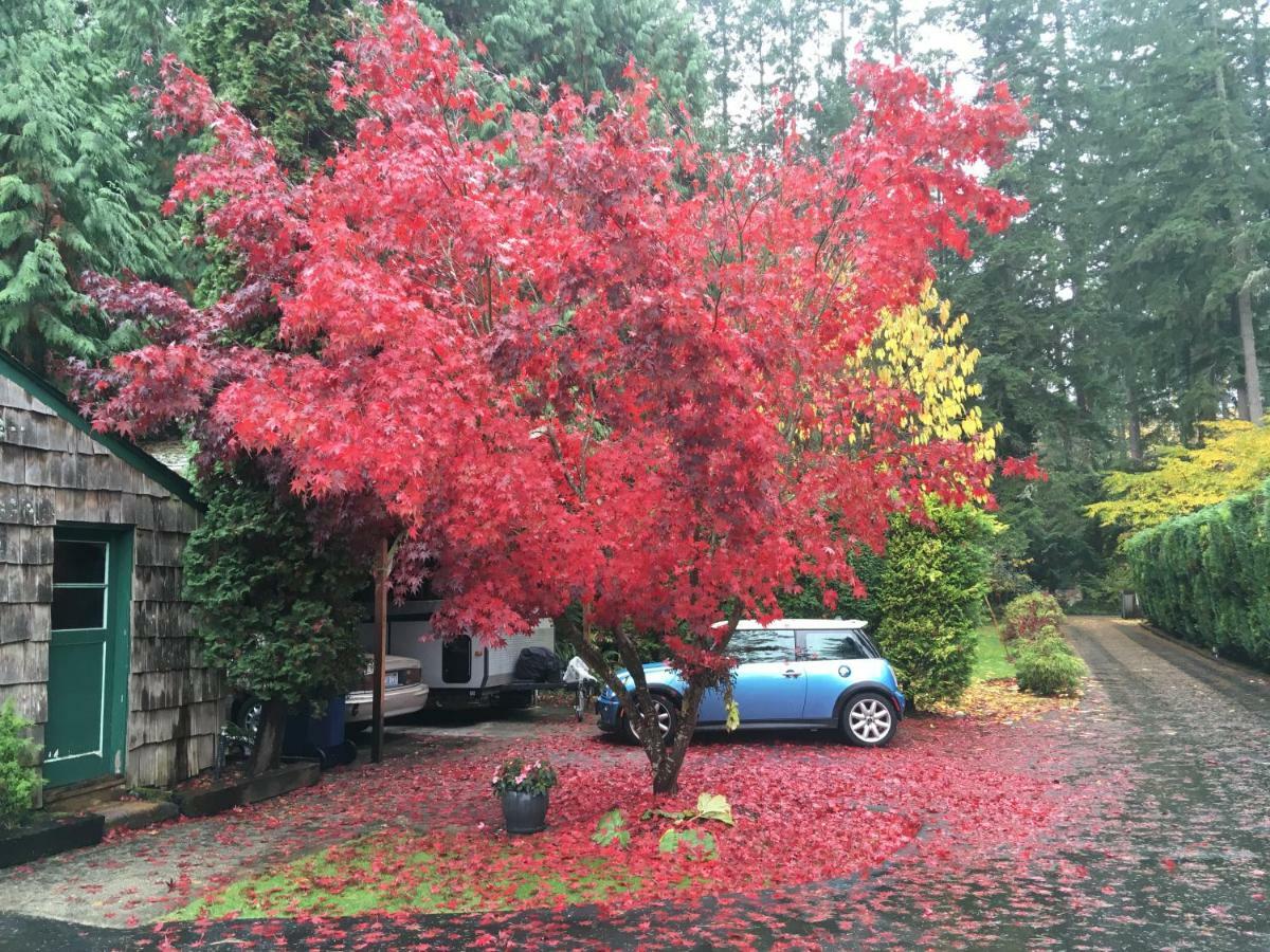 Cottage Lake Bed And Breakfast Woodinville Buitenkant foto