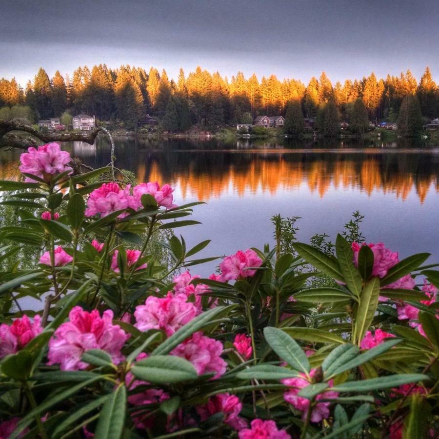 Cottage Lake Bed And Breakfast Woodinville Buitenkant foto